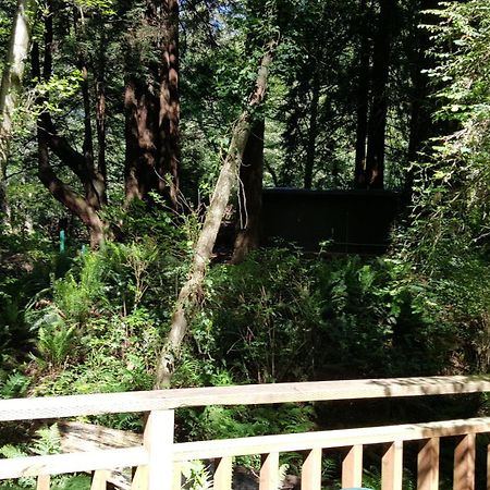 Emerald Forest Cabins ตรินิแดด ห้อง รูปภาพ
