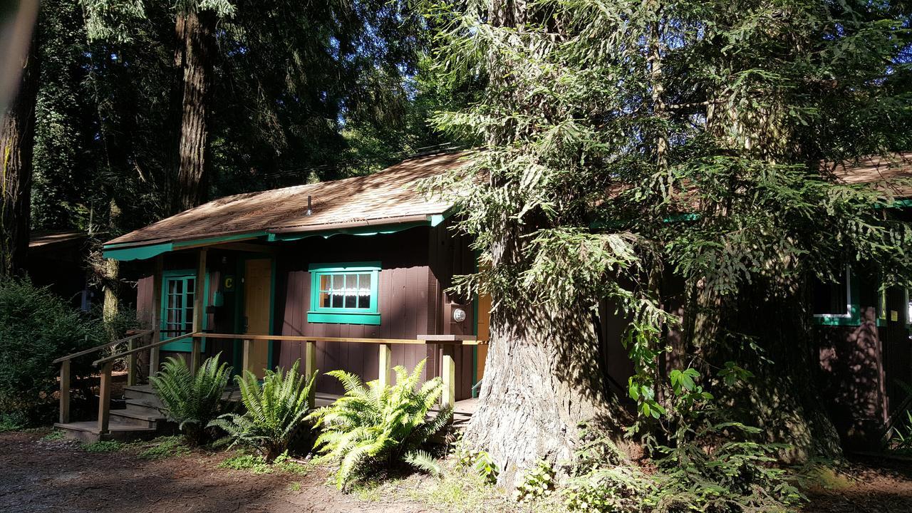 Emerald Forest Cabins ตรินิแดด ภายนอก รูปภาพ